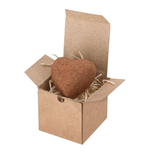 Hjerteformet frøbombe - Bild 5